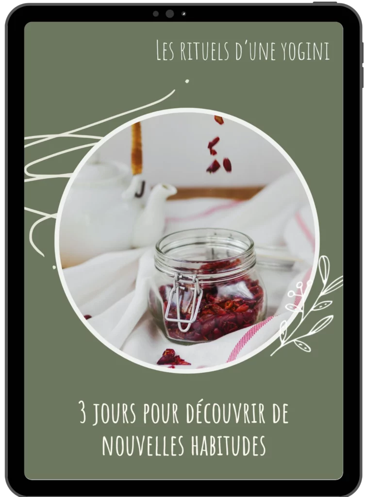 ebook gratuit bonnes habitudes a prendre